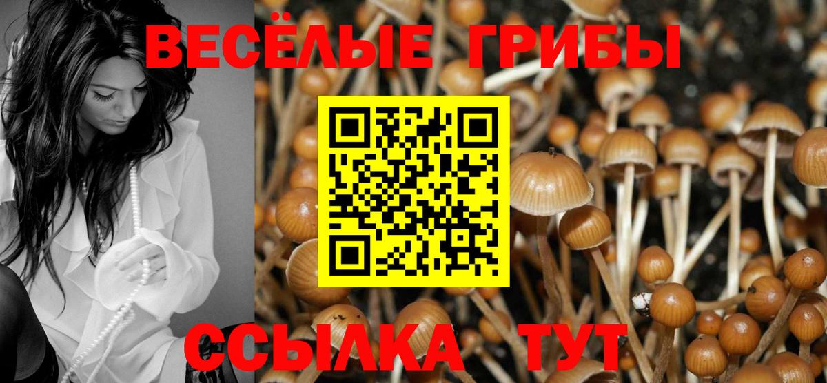 Галлюциногенные грибы ЛСД  Псилоцибиновые грибы GOLDEN TEACHER  Вход с VPN  Нальчик 